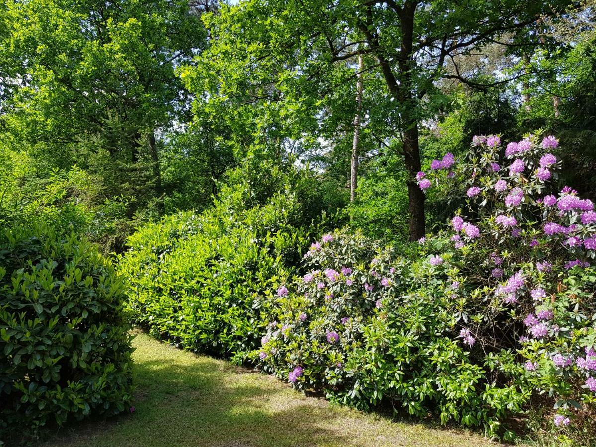 Bungalow Hartje Veluwe Otterlo Exterior foto